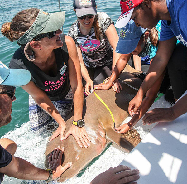 Girls CAN Be Shark Scientists