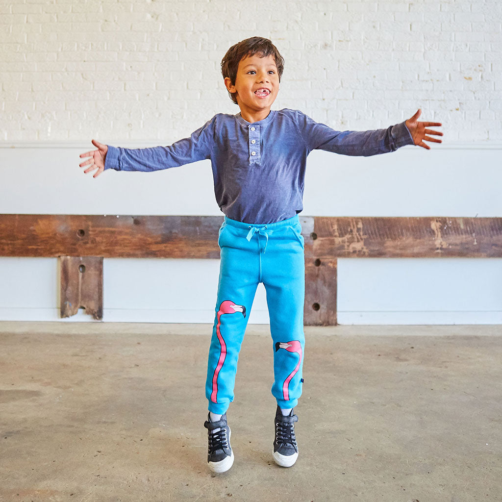 Flamingos Fuzzy Fleece Jogger Pants