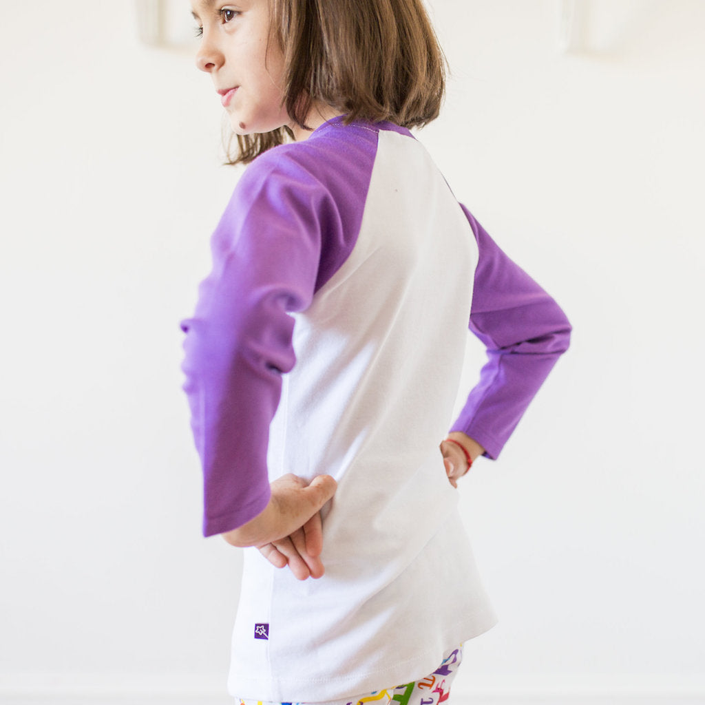 “I Solve My Own Problems” Math Raglan Shirt