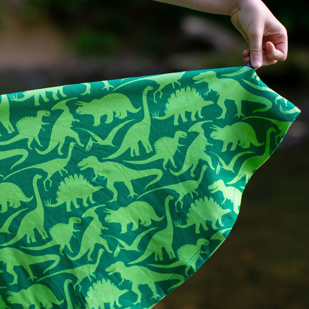 "Land Before Lime" Dinosaurs Skater Play Dress with Pockets