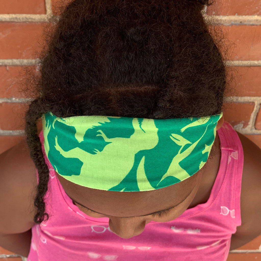 "Land Before Lime" Dinosaurs Headband - Child