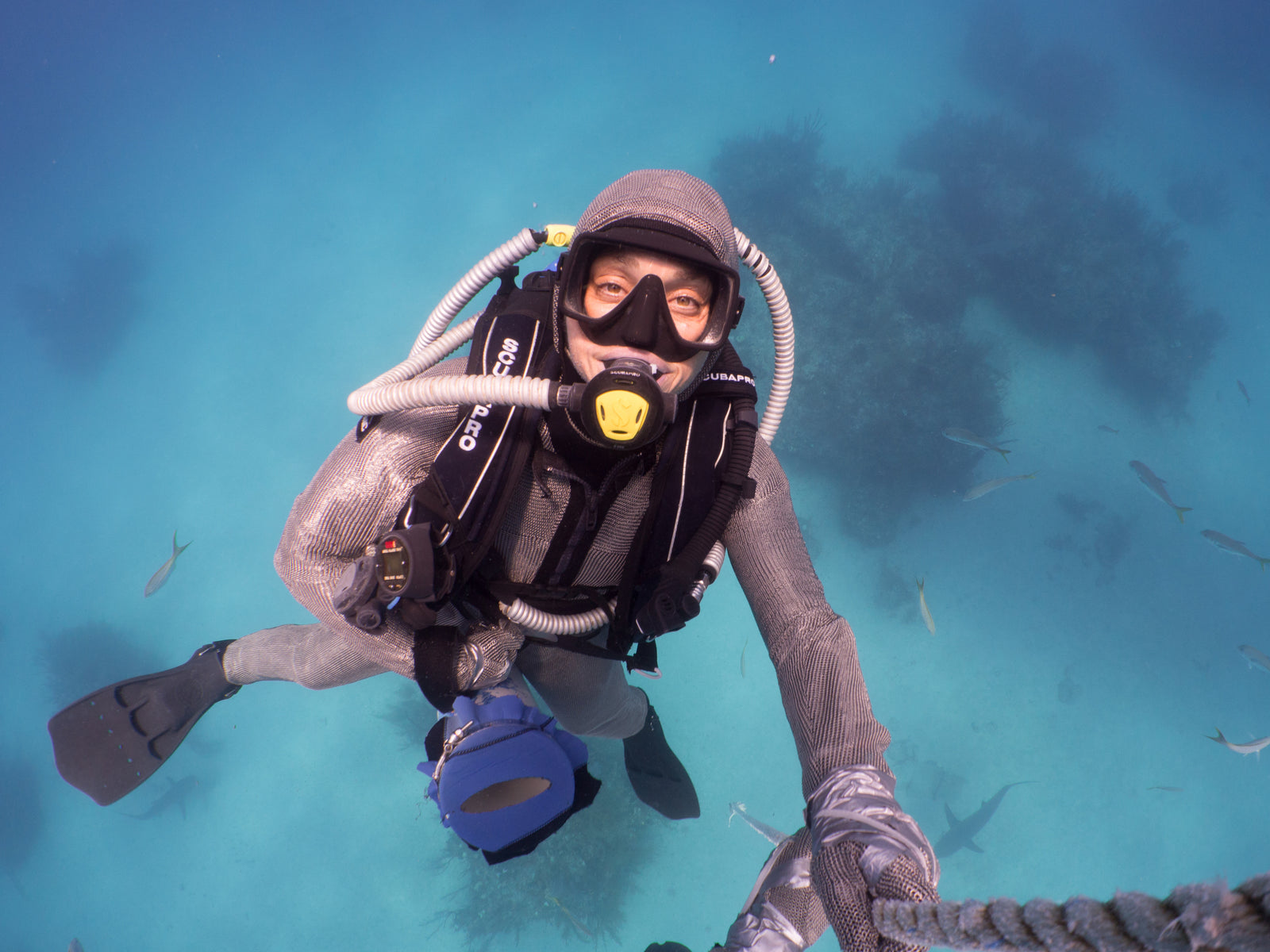 Swim Like a Girl - With the Sharks