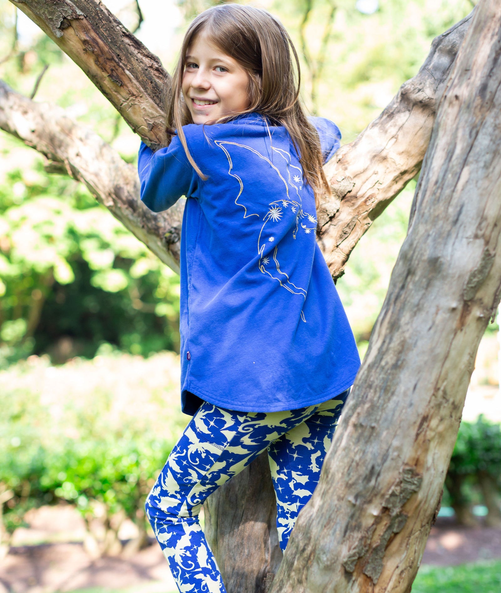 Dragon and Wolf Sets