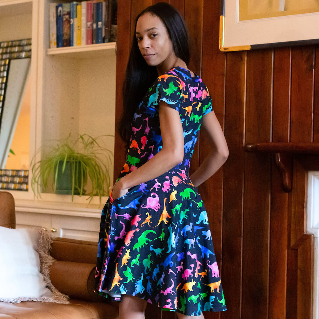Adult "Prehistoric Parade" Rainbow of Dinosaurs Dress with Pockets