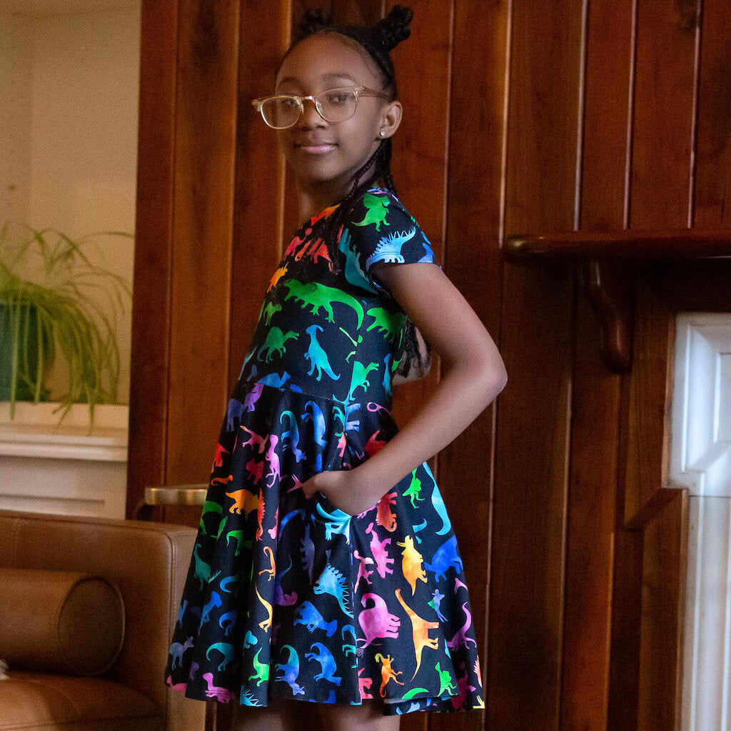 "Prehistoric Parade" Rainbow of Dinosaurs Super Twirler Dress with Pockets