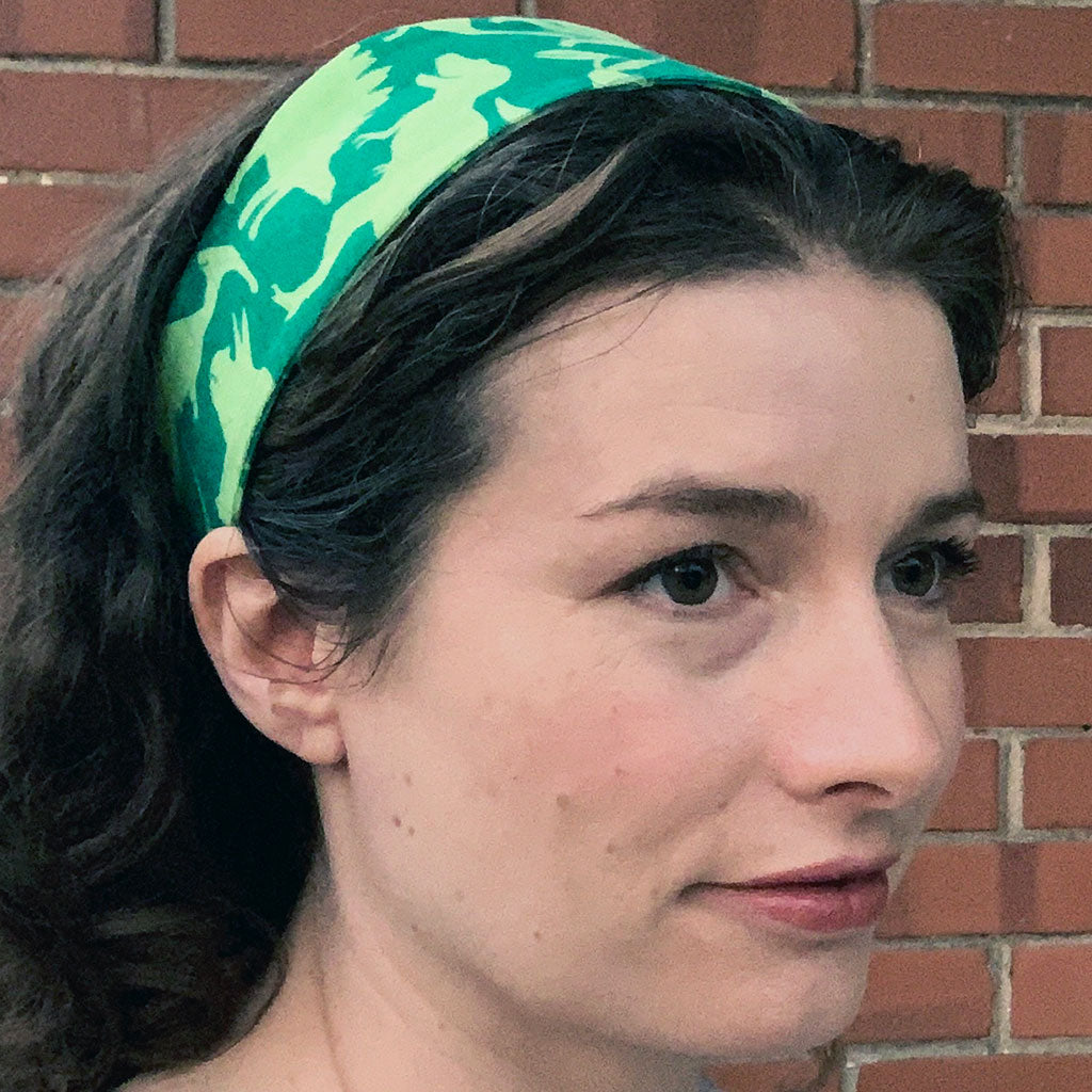 "Land Before Lime" Dinosaurs Headband - Adult