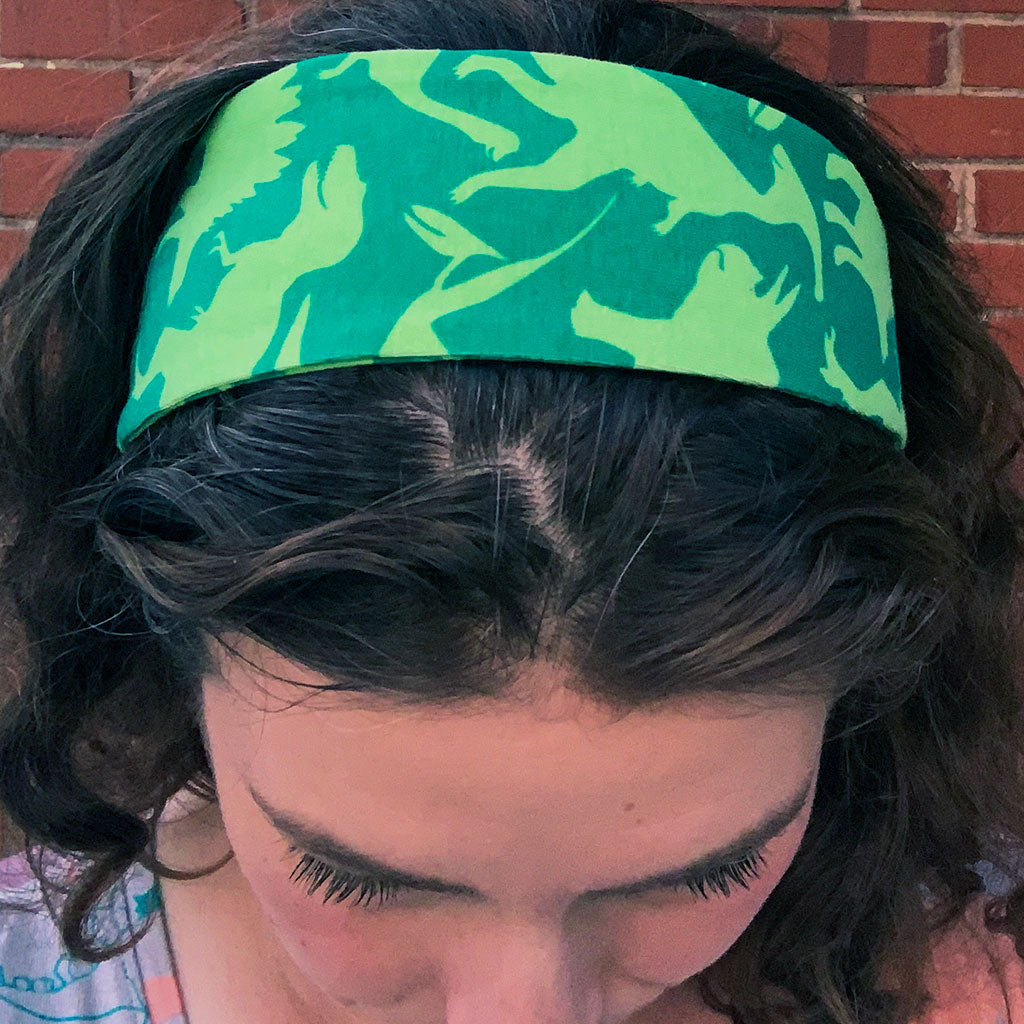 &quot;Land Before Lime&quot; Dinosaurs Headband - Adult