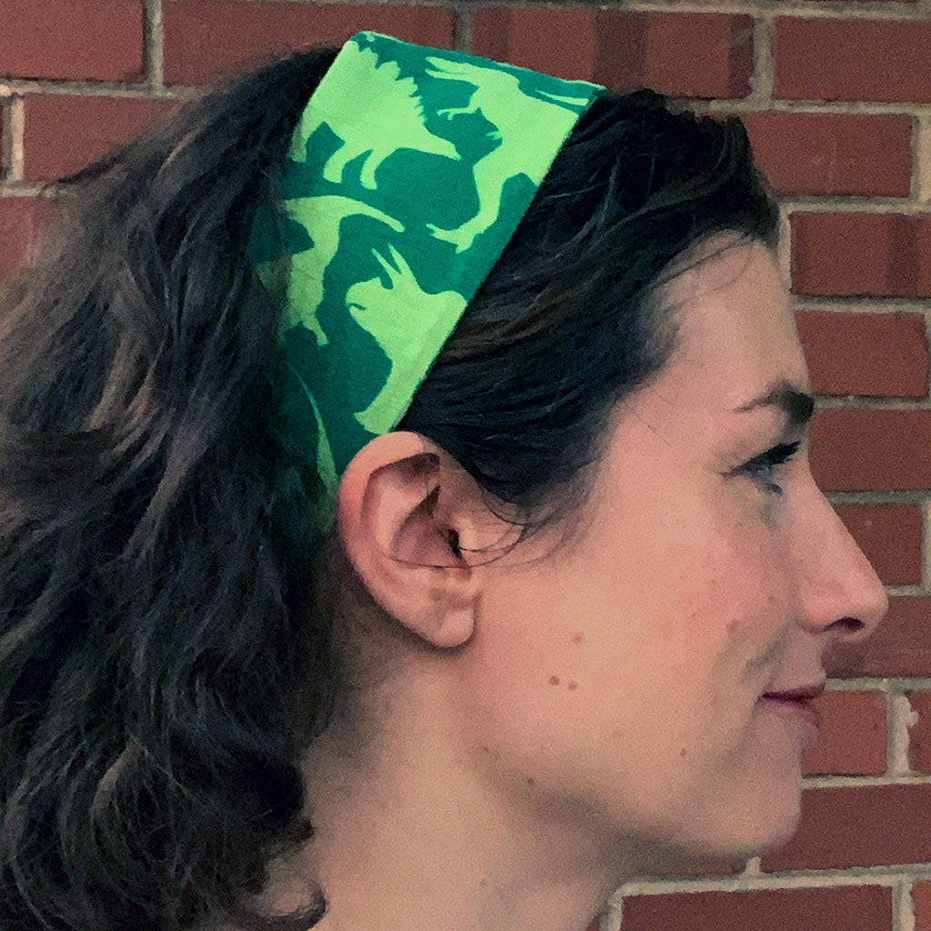 "Land Before Lime" Dinosaurs Headband - Adult